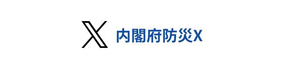 内閣府防災X